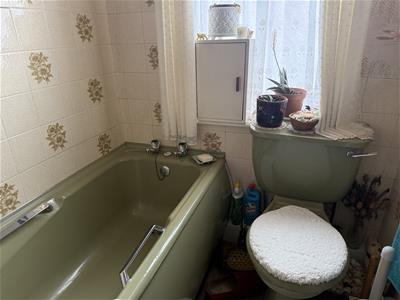 Picture 8